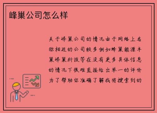 峰巢公司怎么样